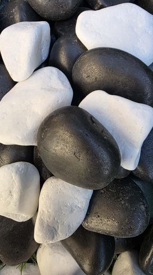 חלוקי נחל לבן שלג ושחור מבריק לעיצוב גינה יוקרתית לצד דשא סינטטי